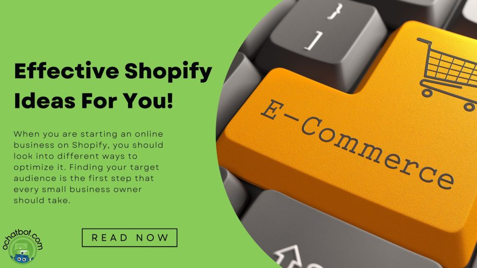 9 Shopify Ideas For Online Business Owners - Ometrics